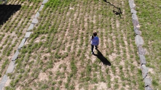 Maze, Outdoors, Landscape, Outdoor, Walking, Tree