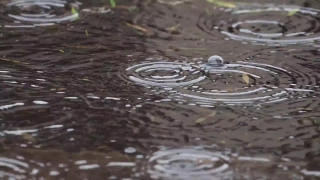 Maze, Water, Liquid, Rain, Drop, Close