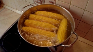 Meal, Dish, Food, Soup, Dinner, Vegetable