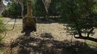 Memorial, Megalith, Structure, Tree, Forest, Landscape