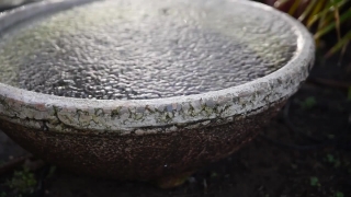 Mortar, Flour, Pestle, Stone, Vessel, Sugar