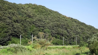Mound, Baseball Equipment, Sports Equipment, Landscape, Knoll, Tree