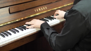 Musical Instrument, Electric Organ, Electronic Instrument, Piano, Music, Device