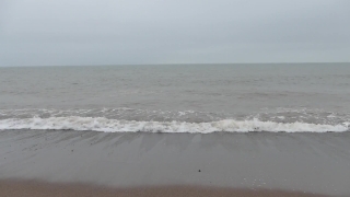 Ocean, Beach, Body Of Water, Sea, Sand, Water
