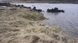 Ocean, Beach, Sea, Coast, Water, Shoreline