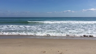 Ocean, Beach, Sea, Sand, Coast, Body Of Water