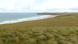 Ocean, Beach, Sea, Sand, Coast, Water