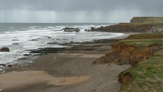 Ocean, Beach, Sea, Shoreline, Coast, Water