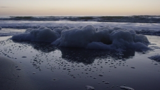 Ocean, Body Of Water, Sea, Water, Beach, Coast