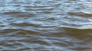 Ocean, Body Of Water, Sea, Water, Beach, Wave