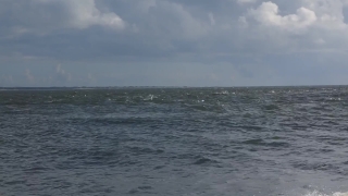 Ocean, Body Of Water, Sea, Water, Landscape, Beach