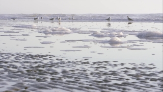 Ocean, Body Of Water, Sea, Water, Shoreline, Landscape