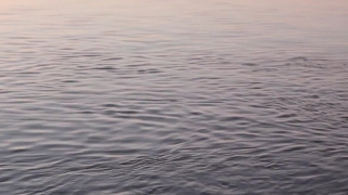 Ocean, Body Of Water, Sea, Water, Sky, Reflection