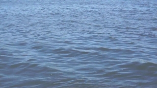 Ocean, Body Of Water, Sea, Water, Sky, Wave