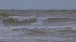 Ocean, Body Of Water, Sea, Water, Wave, Beach