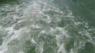Ocean, Body Of Water, Water, Sea, Beach, Wave
