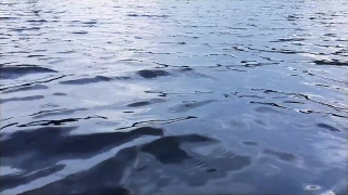 Ocean, Body Of Water, Water, Sea, Wave, Beach