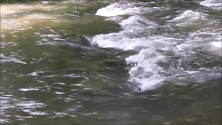 Ocean, Body Of Water, Water, Sea, Wave, River