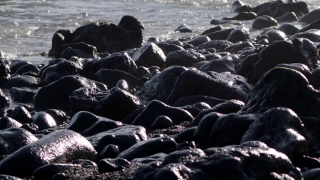 Ocean, Breakwater, Water, Landscape, Sea, Beach