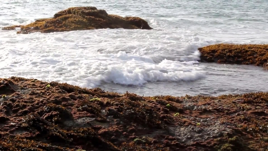 Ocean, Promontory, Sea, Beach, Natural Elevation, Water