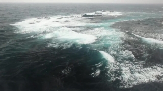 Ocean, Sea, Baleen Whale, Body Of Water, Water, Wave