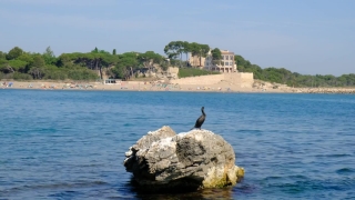 Ocean, Sea, Beach, Shore, Coast, Water