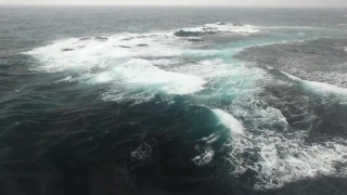 Ocean, Sea, Body Of Water, Water, Baleen Whale, Beach
