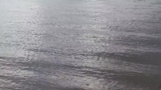 Ocean, Sea, Body Of Water, Water, Beach, Sand