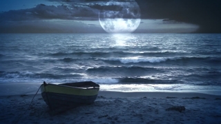 Ocean, Sea, Body Of Water, Water, Wave, Beach