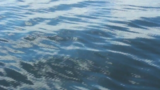 Ocean, Sea, Body Of Water, Water, Wave, Waves