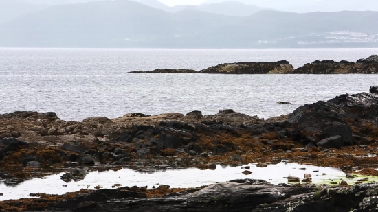 Ocean, Sea, Shoreline, Beach, Coast, Water