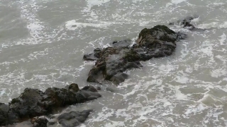 Ocean, Sea, Water, Beach, Coast, Coastline