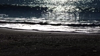 Ocean, Sea, Water, Beach, Sand, Body Of Water