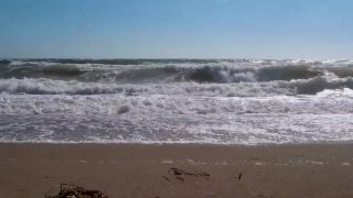 Ocean, Sea, Water, Beach, Shoreline, Waves