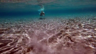 Ocean, Sea, Water, Beach, Summer, Body Of Water