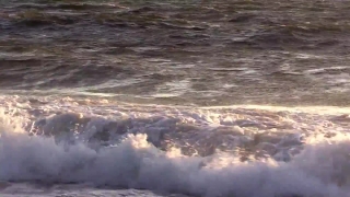 Ocean, Sea, Water, Spring, Landscape, Beach