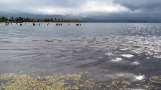 Ocean, Shore, Water, Sea, Lakeside, Shoreline