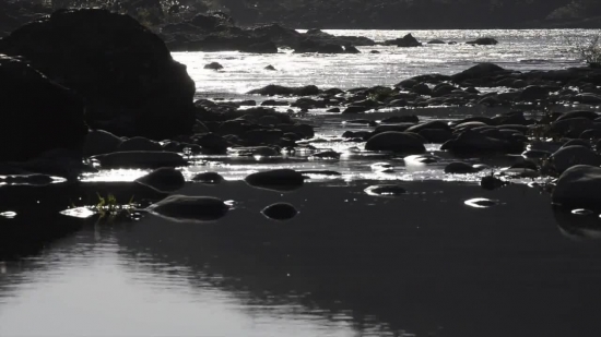 Ocean, Shoreline, Sea, Beach, Water, Body Of Water