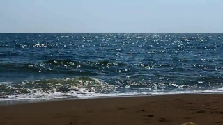 Ocean, Shoreline, Sea, Beach, Water, Coast
