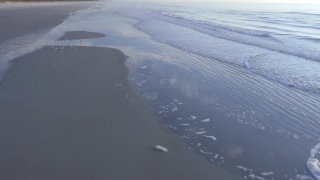 Ocean, Shoreline, Water, Sea, Landscape, Body Of Water