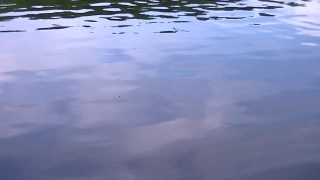 Ocean, Water, Body Of Water, Sea, Sky, Reflection