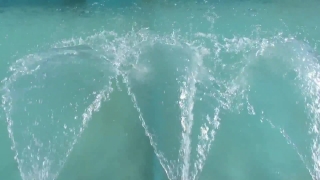 Ocean, Water, Sea, Great White Shark, Wave, Splash