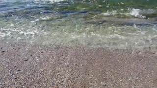 Ocean, Water, Sea, Sand, Beach, Stingray