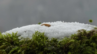 Ocean, Water, Snow, Ice, Body Of Water, Landscape