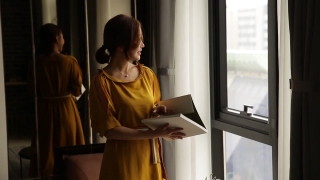 Office, People, Laptop, Adult, Business, Computer