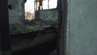 Old, Stone, Tunnel, Wall, Building, Landscape