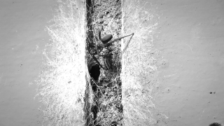 Old, Wall, Texture, Grunge, Detail, Rough