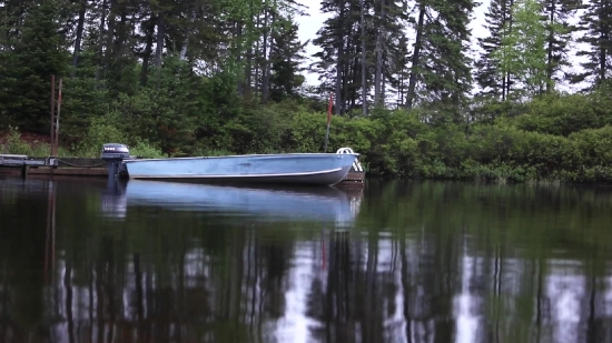 Paddle, Boat, Boathouse, Lake, Water, Shed