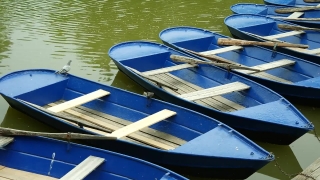 Paddle, Oar, Boat, Water, Blade, Summer