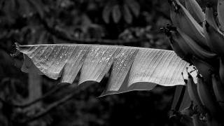Park Bench, Knife Blade, Bench, Blade, Tool, Seat